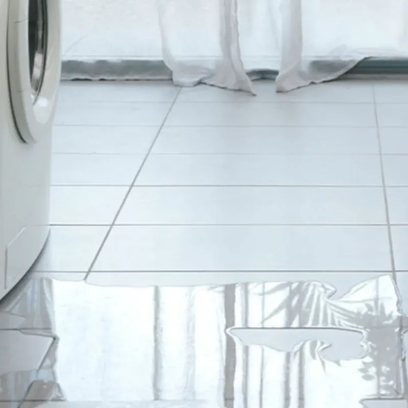 Appliance Leak Cleanup in Jamestown, OH