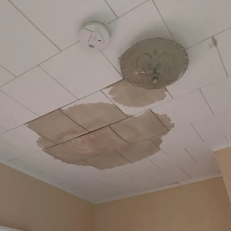 Ceiling Water Damage Repair in Jamestown, OH