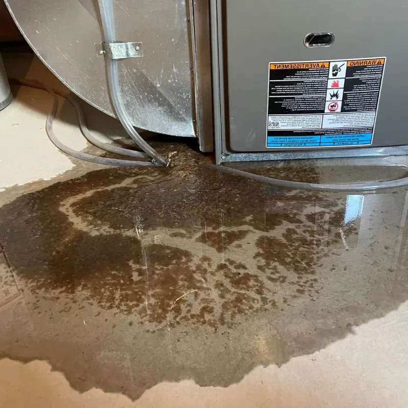 Pipe Burst and Leak Restoration in Jamestown, OH