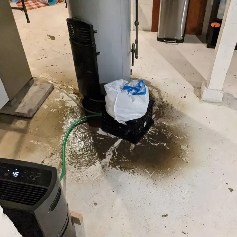 Sewage Backup Cleanup Service in Jamestown, OH